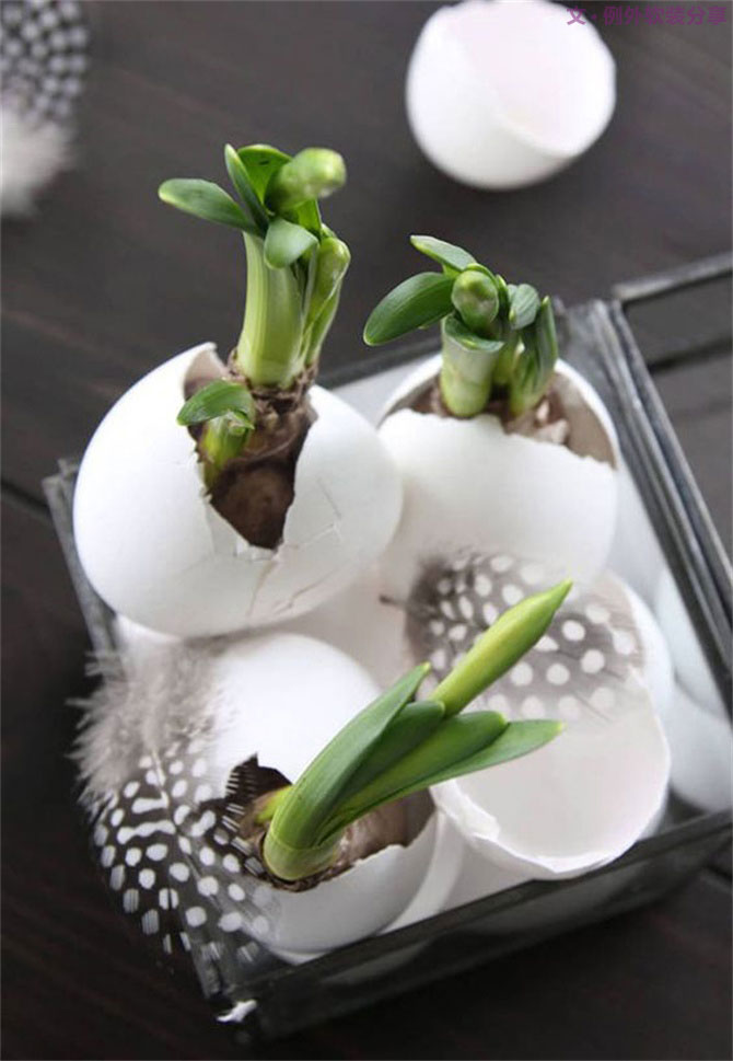“她”不小心打碎了雞蛋，結(jié)果美翻了整個(gè)家！-別墅設(shè)計(jì),軟裝設(shè)計(jì),室內(nèi)設(shè)計(jì),豪宅設(shè)計(jì),深圳例外軟裝設(shè)計(jì)公司