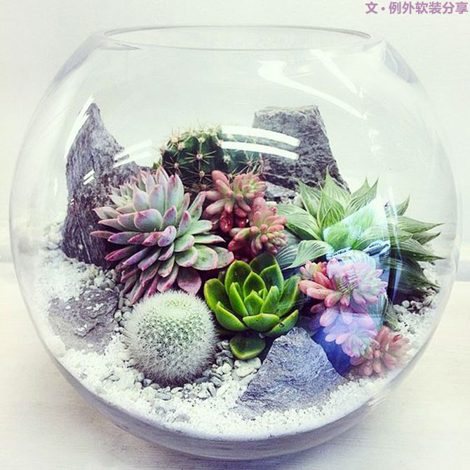 地球人都得了一種，看見“她”就想抱回家養(yǎng)的?。?別墅設(shè)計,軟裝設(shè)計,室內(nèi)設(shè)計,豪宅設(shè)計,深圳例外軟裝設(shè)計公司
