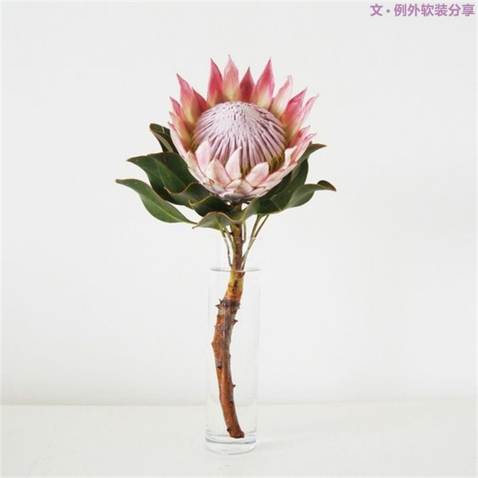 【例外·花箋記】沒有哪個姑娘能拒絕這樣一支奇葩！-別墅設計,軟裝設計,室內(nèi)設計,豪宅設計,深圳例外軟裝設計公司
