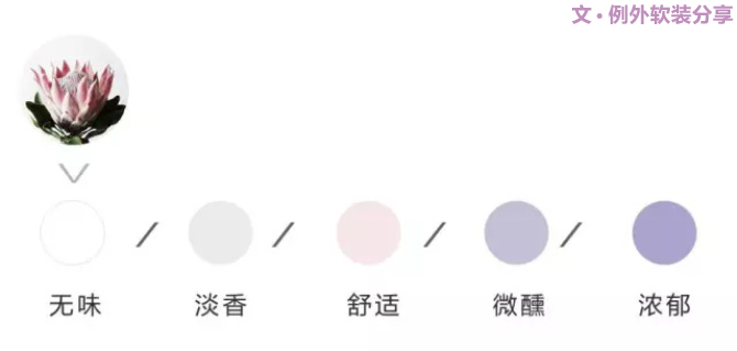 【例外·花箋記】沒有哪個姑娘能拒絕這樣一支奇葩！-別墅設計,軟裝設計,室內(nèi)設計,豪宅設計,深圳例外軟裝設計公司