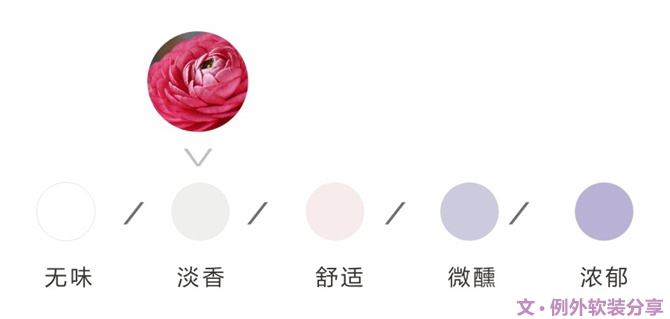 【例外·花箋記】洋牡丹，花叢中的人氣精靈-別墅設(shè)計,軟裝設(shè)計,室內(nèi)設(shè)計,豪宅設(shè)計,深圳例外軟裝設(shè)計公司