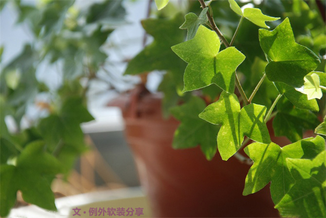 新房子裝修甲醛從哪里來？-別墅設計,軟裝設計,室內設計,豪宅設計,深圳例外軟裝設計公司