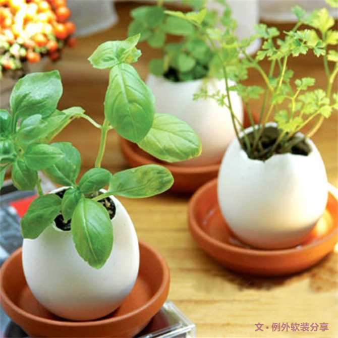 對于舊物家居設(shè)計(jì)師這樣用，給家添一抹生機(jī)！-別墅設(shè)計(jì),軟裝設(shè)計(jì),室內(nèi)設(shè)計(jì),豪宅設(shè)計(jì),深圳例外軟裝設(shè)計(jì)公司