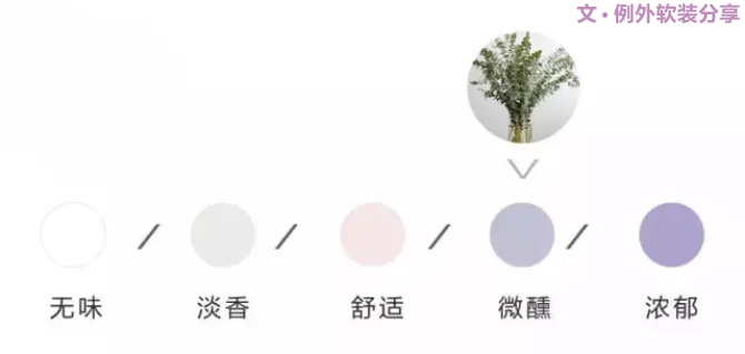 【例外.花箋記】尤加利，花藝界的百搭神葉-別墅設(shè)計,軟裝設(shè)計,室內(nèi)設(shè)計,豪宅設(shè)計,深圳例外軟裝設(shè)計公司